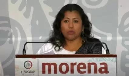 Ins Parra Jurez, diputada de Morena