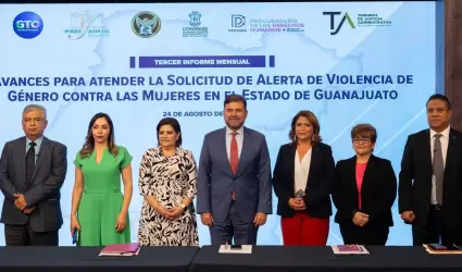 El ao pasado, cinco de cada 100 muertes violentas de mujeres se clasificaron co