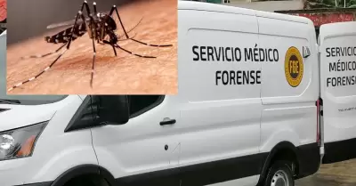 Dengue