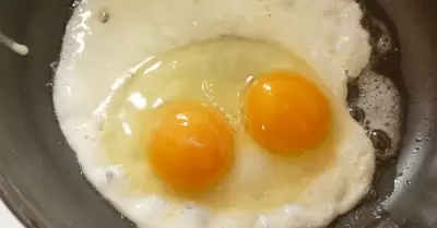 huevos