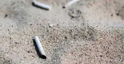 Colillas de cigarro