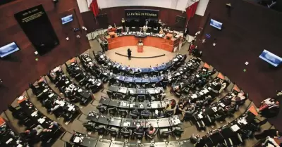 Senado