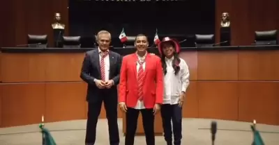 Senado