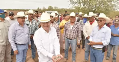 Gobernador