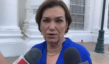 Mara Dolores del Ro Snchez, secretaria de Seguridad Pblica