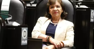 Diputada