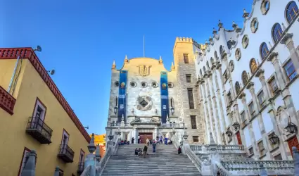 Chinches en Guanajuato