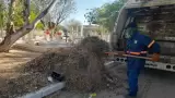 Limpieza de panteones de Hermosillo
