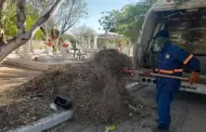 Reforzar�n limpieza en panteones de Hermosillo a partir del 28 de septiembre
