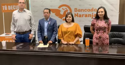 Diputados de Movimiento Ciudadano