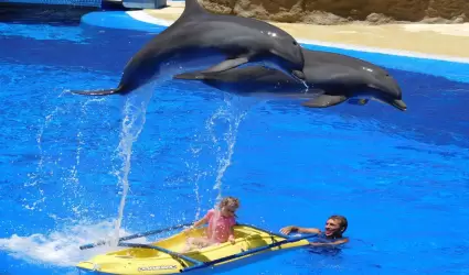 Delfines