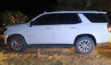 Veh�culo asegurado