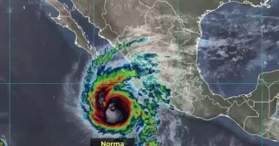Norma