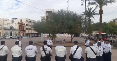 Elementos de Trnsito