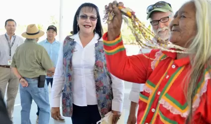 Brazaletes anti tibur�n