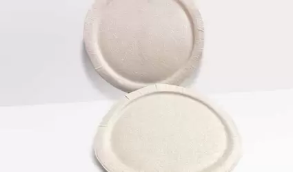 Platos hechos de semilla de mango