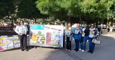 Asociacin Nacional de Estancias Infantiles, seccin Sonora