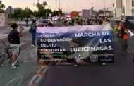 Realizan en Hermosillo la Marcha de las Lucirnagas