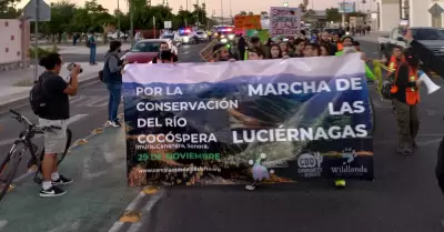 Marcha de las Lucirnagas