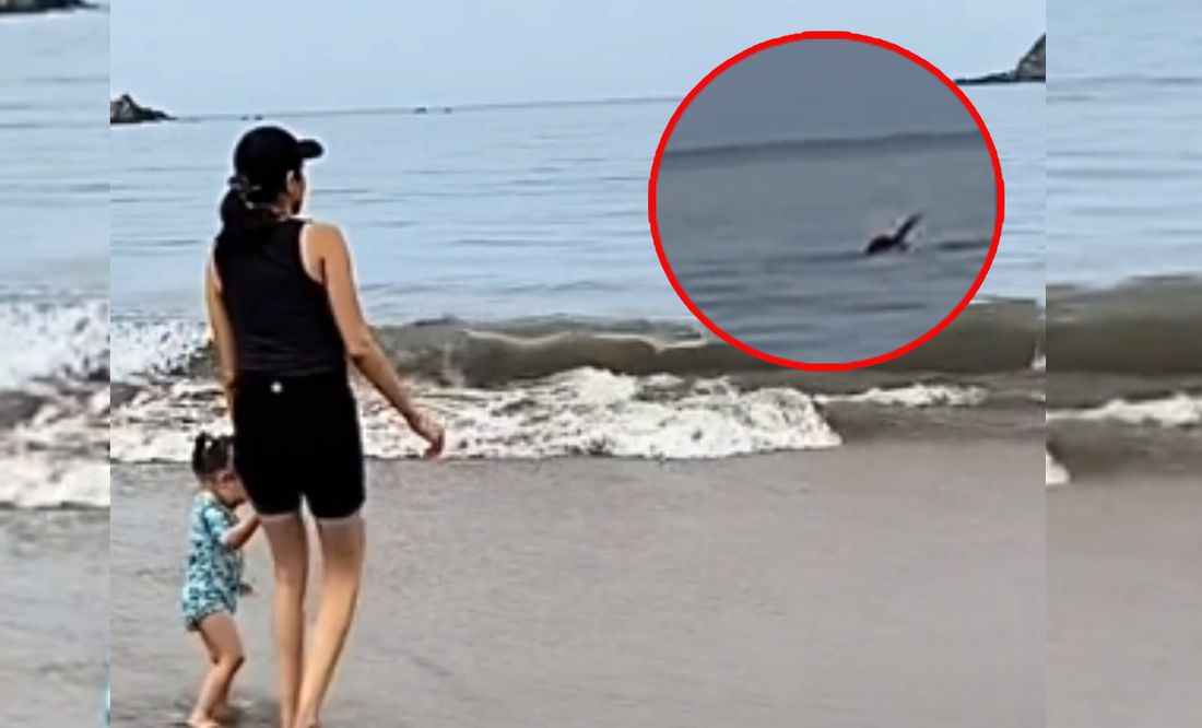 VIDEO "En segundos", así fue el ataque de un animal a turista canadiense -  Uniradio Informa Sonora