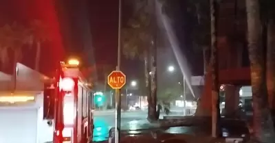 Incendio palmas