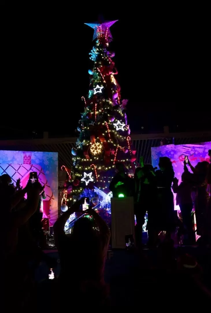 Encienden en el Parque Infantil el tradicional rbol navideo