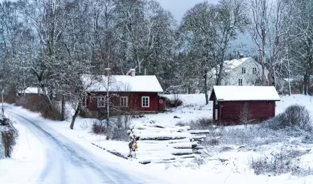 Cada de nieve