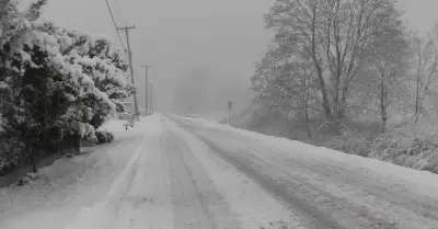 Tormenta de nieve