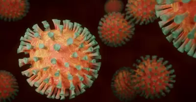 coronavirus