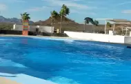 Profepa verifica el Delfinario Sonora tras la muerte de "Moana"
