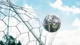 Liga MX