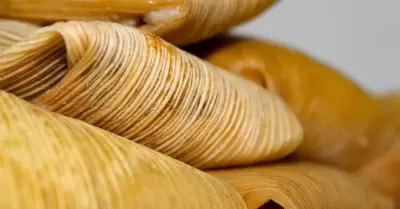 En hoja de maíz