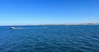 Fallece pescador que qued atrapado en buque hundido