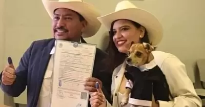 Perrito chihuahua es testigo de honor del matrimonio de sus dueos