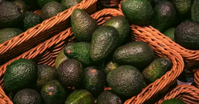 Aguacate mexicano