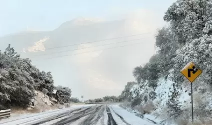 nevadas