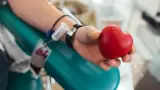 Donador de sangre