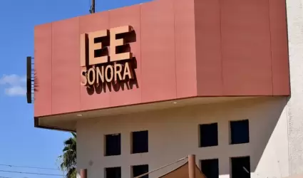 instituto estatal electoral y de participacion ciudadana