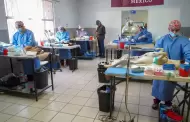 Hermosillo est a la mitad de la meta de esterilizaciones de perros y gatos para 2025