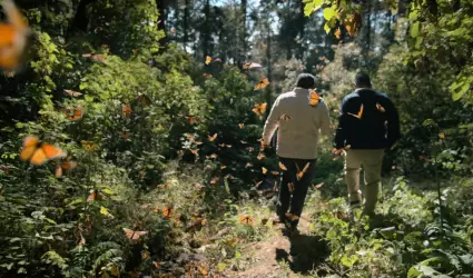 'El guardin de las Monarcas': La vida de Homero Gmez