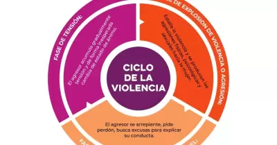 Fases de la violencia