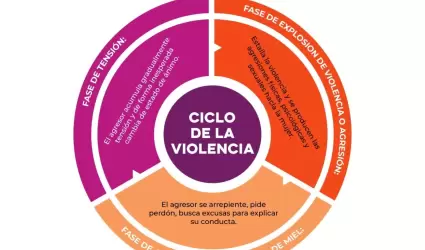 Fases de la violencia