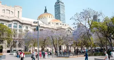 Explorar la Ciudad de Mxico significa sumergirse en su vibrante cultura, histor