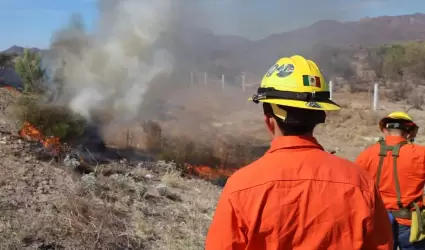 Incendio forestal Hermosillo Guaymas