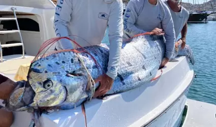 Pez remo encontrado por pescadores deportivos en el Mar de Corts