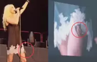 Taylor Momsen, actriz de "Gossip Girl", es atacada por un murci�lago en pleno concierto