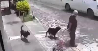 Ataque de perros