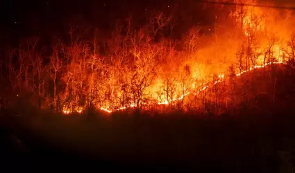 Incendios forestales