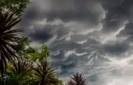 Lluvias monznicas pueden alcanzar acumulados de entre 25 y 75 milmetros
