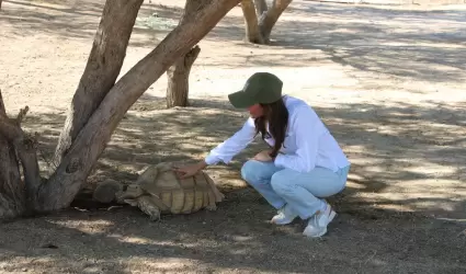 Nuevo espacio en el Centro Ecolgico de Sonora